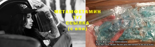 шишки Нязепетровск