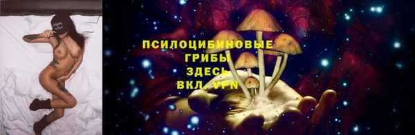 шишки Нязепетровск