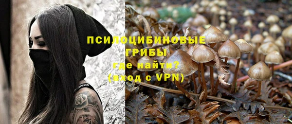 МДМА Няндома