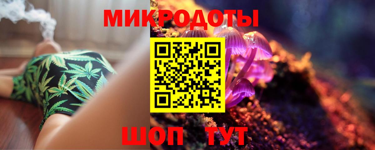 Псилоцибиновые грибы Psilocybine cubensis Ишимбай