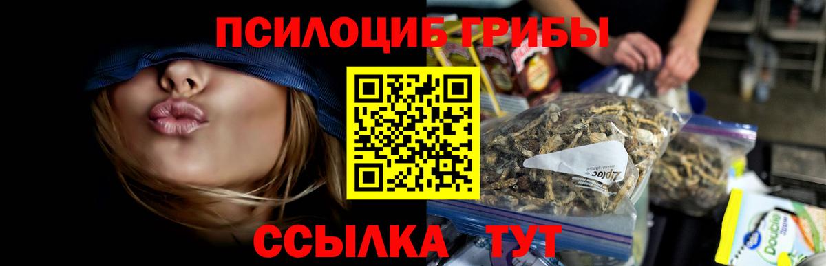 Ишимбай  Галлюциногенные грибы Psilocybine cubensis  Вход с VPN  Галлюциногенные грибы MAGIC MUSHROOMS 